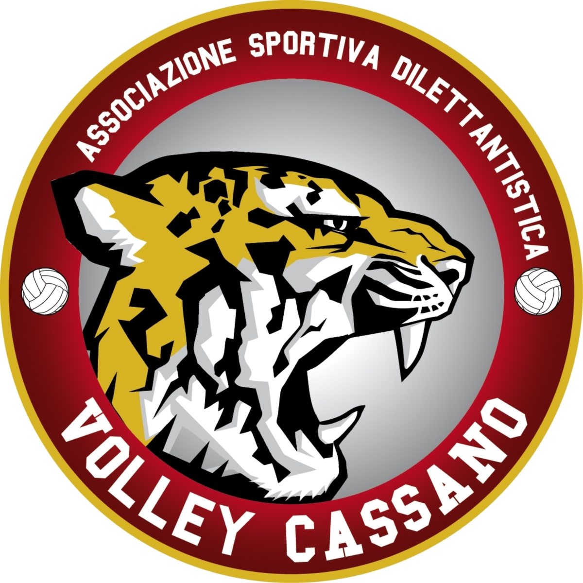 A.S.D. VOLLEY CASSANO